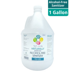 Alcohol-Free Sanitizer 500mL